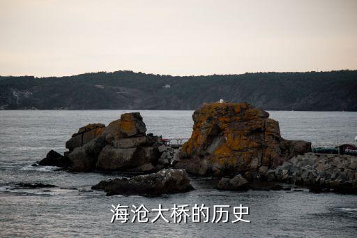 河北海滄投資,海滄投資集團(tuán)董事長(zhǎng)