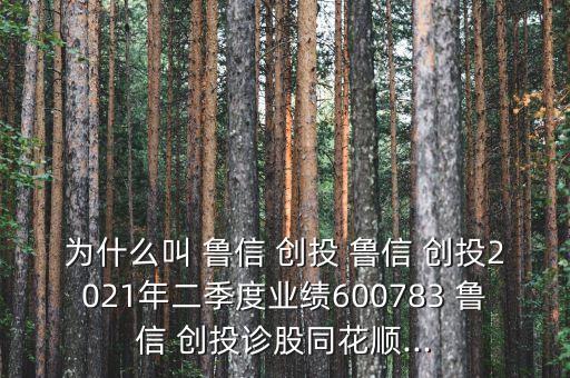 為什么叫 魯信 創(chuàng)投 魯信 創(chuàng)投2021年二季度業(yè)績(jī)600783 魯信 創(chuàng)投診股同花順...