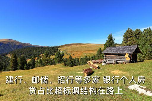 建行、郵儲(chǔ)、招行等多家 銀行個(gè)人房貸占比超標(biāo)調(diào)結(jié)構(gòu)在路上