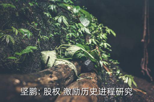 堅鵬: 股權(quán) 激勵歷史進程研究