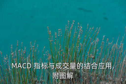 MACD 指標與成交量的結(jié)合應用,附圖解