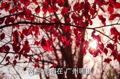 網(wǎng)易 總部在 廣州哪里