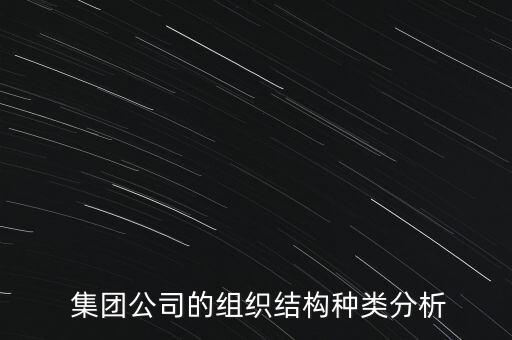  集團公司的組織結構種類分析