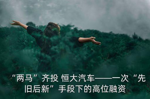 恒大互聯(lián)網(wǎng)金融公司,互聯(lián)網(wǎng)金融公司是干什么的