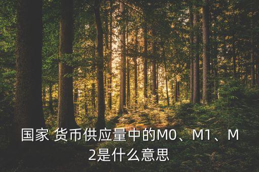 國(guó)家 貨幣供應(yīng)量中的M0、M1、M2是什么意思