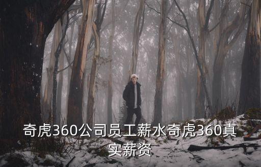 奇虎360公司員工薪水奇虎360真實薪資