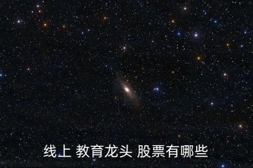 關于教育的股票,中公教育股票