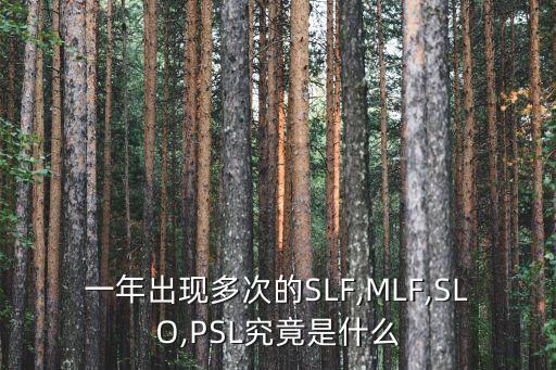 一年出現(xiàn)多次的SLF,MLF,SLO,PSL究竟是什么