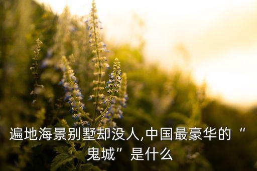 遍地海景別墅卻沒(méi)人,中國(guó)最豪華的“ 鬼城”是什么