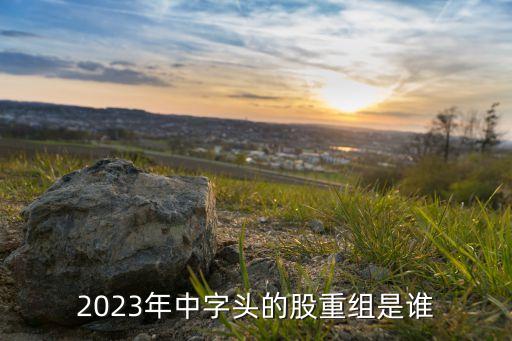 2023年中字頭的股重組是誰(shuí)