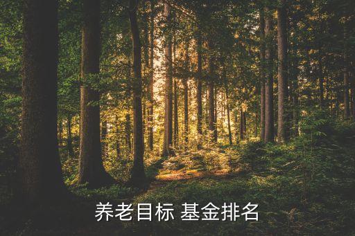 養(yǎng)老目標 基金排名