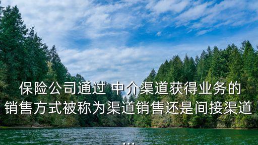  保險公司通過 中介渠道獲得業(yè)務(wù)的銷售方式被稱為渠道銷售還是間接渠道...