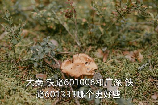  大秦 鐵路601006和廣深 鐵路601333哪個(gè)更好些