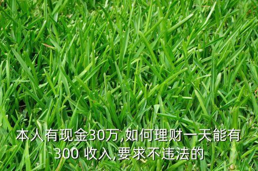 本人有現(xiàn)金30萬,如何理財一天能有300 收入,要求不違法的