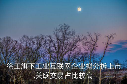  徐工旗下工業(yè)互聯(lián)網(wǎng)企業(yè)擬分拆上市,關(guān)聯(lián)交易占比較高