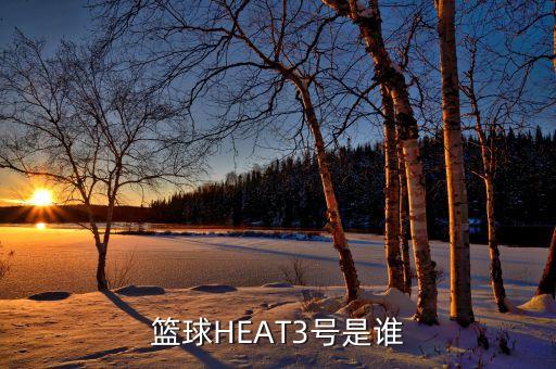 籃球HEAT3號是誰