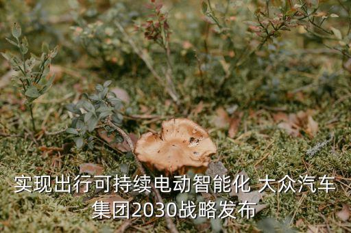 實現(xiàn)出行可持續(xù)電動智能化 大眾汽車集團2030戰(zhàn)略發(fā)布