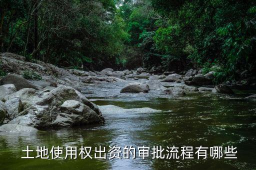  土地使用權(quán)出資的審批流程有哪些