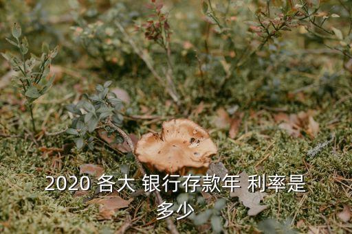 2020 各大 銀行存款年 利率是多少