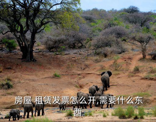  房屋 租賃發(fā)票怎么開,需要什么東西