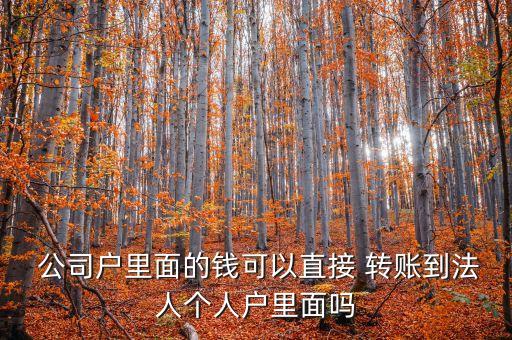  公司戶里面的錢(qián)可以直接 轉(zhuǎn)賬到法人個(gè)人戶里面嗎