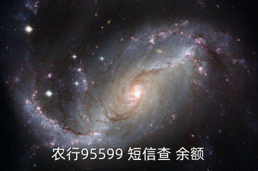 農(nóng)行95599 短信查 余額