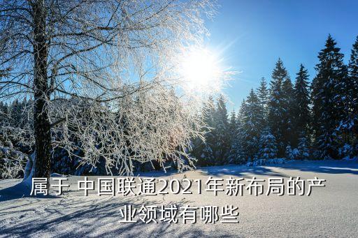 屬于 中國聯(lián)通2021年新布局的產(chǎn)業(yè)領域有哪些