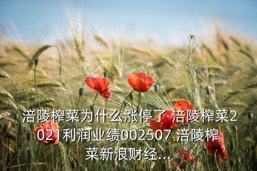  涪陵榨菜為什么漲停了 涪陵榨菜2021利潤(rùn)業(yè)績(jī)002507 涪陵榨菜新浪財(cái)經(jīng)...