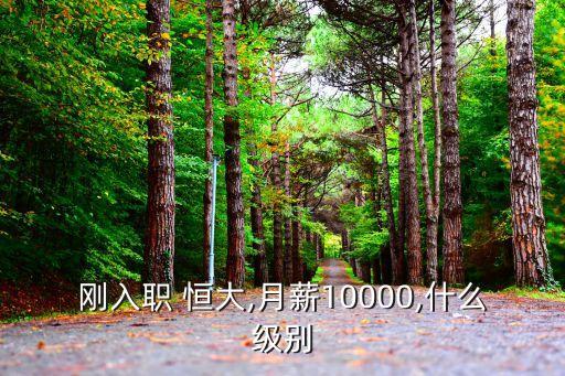 剛入職 恒大,月薪10000,什么級別