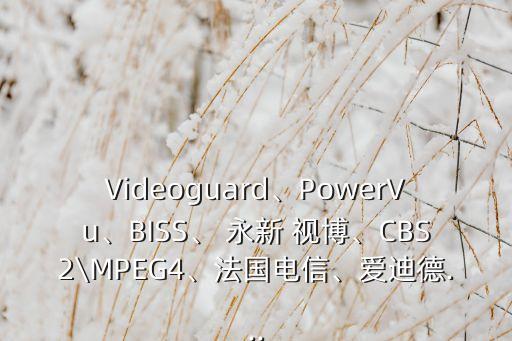 Videoguard、PowerVu、BISS、 永新 視博、CBS2\MPEG4、法國電信、愛迪德...