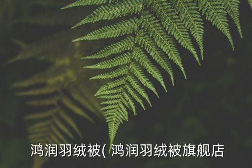 安徽鴻潤集團(tuán)破產(chǎn)了嗎,安徽慶發(fā)集團(tuán)破產(chǎn)最新消息