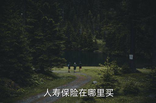 中國人壽個(gè)險(xiǎn)渠道