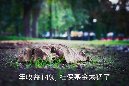 年收益14%, 社?；鹛土? class=