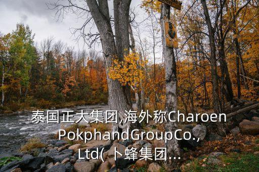 泰國正大集團(tuán),海外稱CharoenPokphandGroupCo.,Ltd( 卜蜂集團(tuán)...