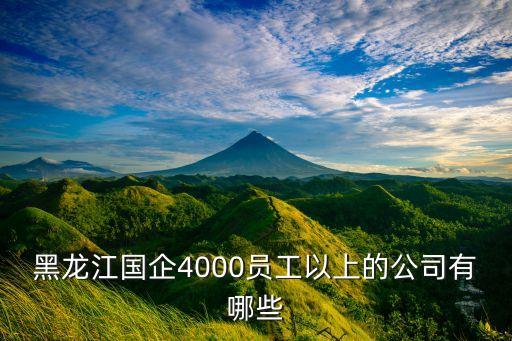 黑龍江國(guó)企4000員工以上的公司有哪些