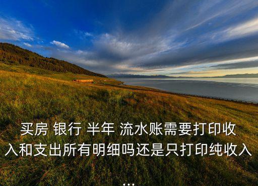 買房 銀行 半年 流水賬需要打印收入和支出所有明細(xì)嗎還是只打印純收入...