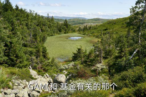 GAM(和 基金有關(guān)的那個(gè)