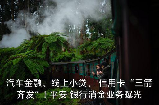 汽車金融、線上小貸、 信用卡“三箭齊發(fā)”! 平安 銀行消金業(yè)務曝光