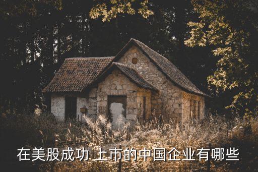 鋱上市公司,上市公司66歲創(chuàng)始人被刑拘