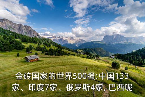 金磚國家的世界500強:中國133家、印度7家、俄羅斯4家, 巴西呢