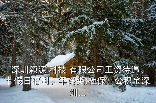 深圳穎源 科技 有限公司工資待遇、節(jié)假日福利、年終獎(jiǎng);社保、公積金深圳...