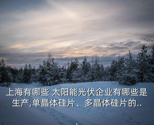 上海有哪些 太陽能光伏企業(yè)有哪些是生產(chǎn),單晶體硅片、多晶體硅片的...