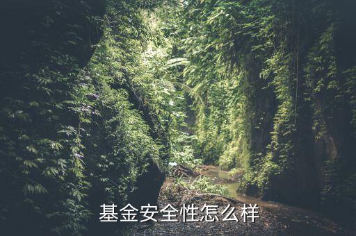  基金安全性怎么樣