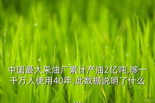 中國(guó)最大采油廠累計(jì)產(chǎn)油2億噸,夠一千萬人使用40年,此數(shù)據(jù)說明了什么...