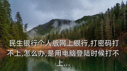  民生銀行個人版網(wǎng)上銀行,打密碼打不上,怎么辦,是用電腦登陸時(shí)候打不上...