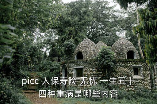 picc 人保壽險 無憂 一生五十四種重病是哪些內(nèi)容