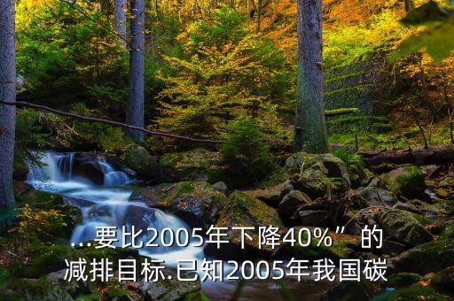 ...要比2005年下降40%”的減排目標.已知2005年我國碳