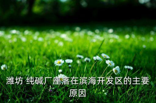 濰坊 純堿廠座落在濱海開(kāi)發(fā)區(qū)的主要原因