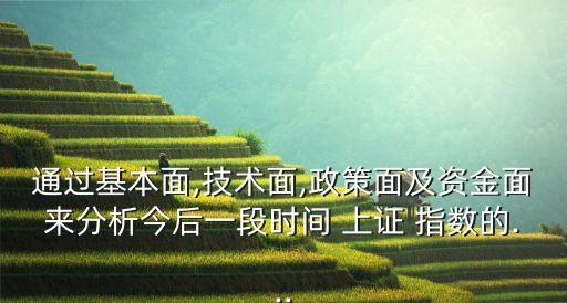 通過基本面,技術面,政策面及資金面來分析今后一段時間 上證 指數的...