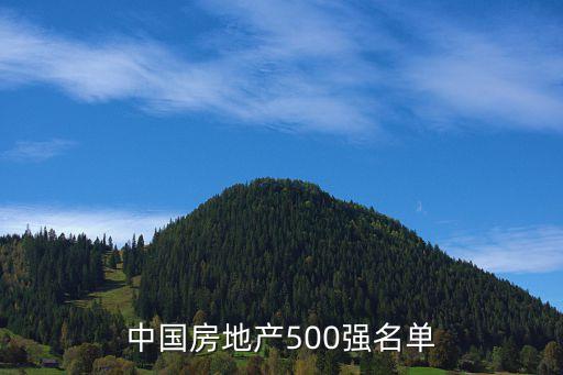 中國房地產(chǎn)500強(qiáng)名單